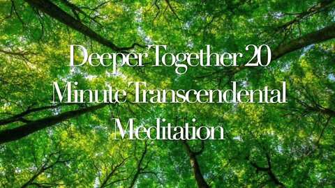 Transcendental Meditation Music 20 Minutes