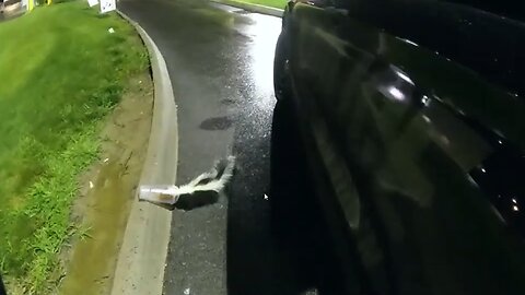 Officer removes two cups from skunk's head