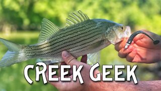 Creek Fishing for bass