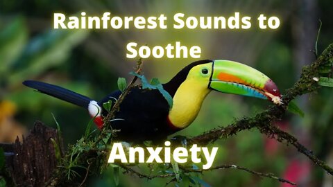 10-minute Rainforest Sleep Yoga Meditation Music