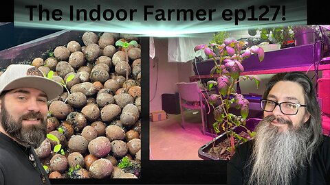 The Indoor Farmer ep127! Pepper Finally Sprouted! Tatters Are Hangin! #letsgo
