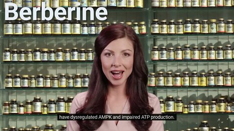 BERBERINE in LONGEVITY | AMPK activation | AUTOPHAGY | Does BERBERINE work?