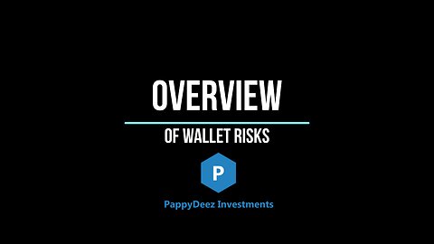 Overview of CryptoCurrency Wallet Risks