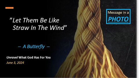 Let Them Be Like Straw in the Wind *Butterfly* (Jun 3, 2024)