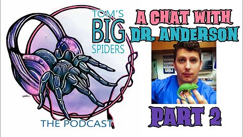 A Chat with Veterinarian Dr. Andy Anderson About Tarantula Health Pt. 2 (TBS Podcast)