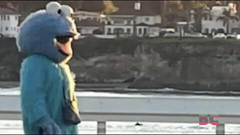 Police Urge Santa Cruz Residents to Avoid 'Creepy' Man Dressed as Cookie Monster