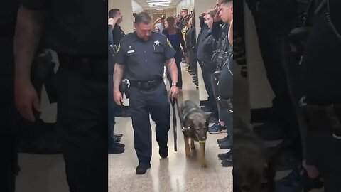 Police K9 diagnosed with cancer gets saluted by her entire team in her final walkout #shorts #dog