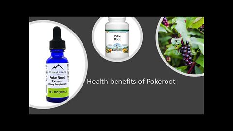 Poke - Herbal Medicine - Benefits, Uses & Side Effects