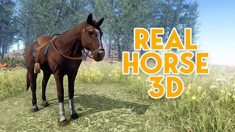 Real Horse 3D Kickstarter Launch