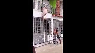 "Caught in the Act: Wife confronts cheating husband and girlfriend in a shocking street brawl - Watch the viral video now!"