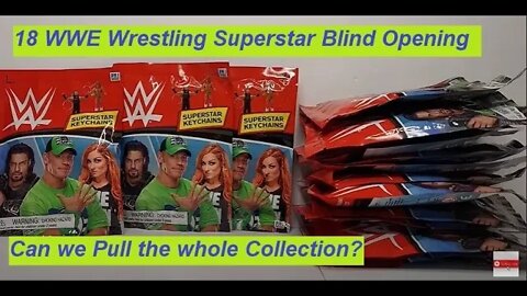 🔥🔥 18 WWE Wrestling Superstar Opening! 🔥 Mystery Blind Bag Keychain Collect Cena card & toy reviews