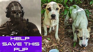 CALL OF DUTY FOR A CAUSE | All proceeds and donations go to this dog's care! |