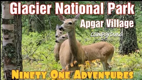Glacier National Park | Apgar | Every Kid Outdoors Pass