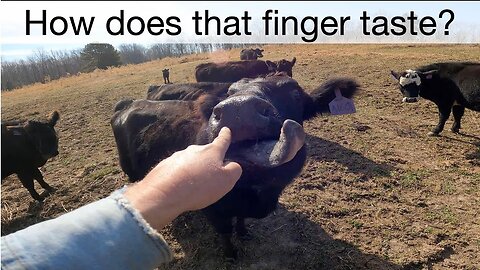 How does that finger taste?