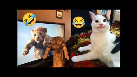 Animals funny video 🤣🤣 part _2