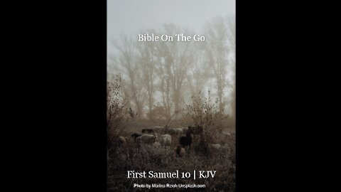 1 SAMUEL 10 | KJV