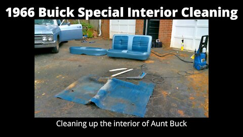 Aunt Buck gets an interior clean up!