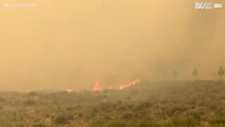 Incêndio devastador queima mais de 10 mil hectares no Utah