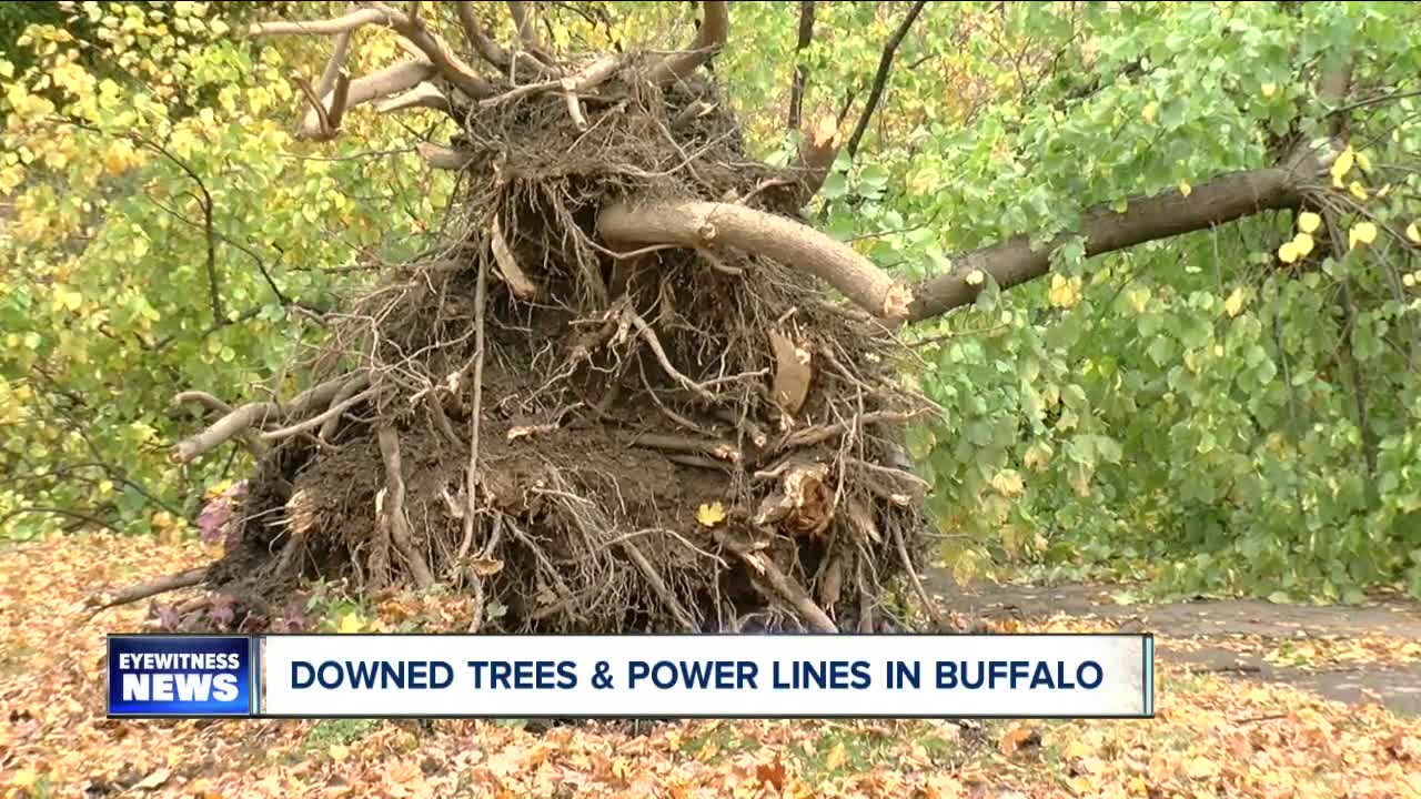 Cleanup underway in Western New York