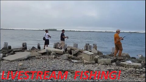 * Fixed * LIVE FISHING! #1 Jones Beach. Caught Blackfish Tautog, Sea Bass, Fluke, Bluefish, Bergal