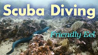 Scuba Diving in Spain
