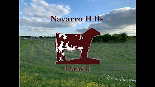 Our ranch! Come along for the journey.