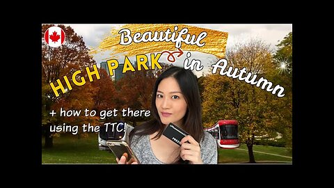 Visit beautiful High Park in Autumn before the leaves are gone! | Living in Canada
