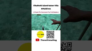 Maldives Water Villa - Fihalhohi #shorts #travelyatra