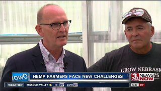 Hemp farmers face new challenges