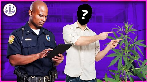 Guy gives police guided tour of pot holdings