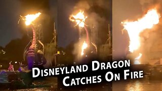 Disneyland Dragon Catches On Fire!