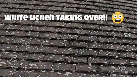 Loads Of Ugly WHITE SPOTS On Our Roof! Can You Help? Indeed We Can / Satisfying TRANSFORMATION!