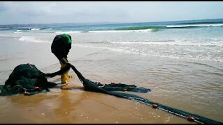 SOUTH AFRICA - Durban - Sardines being netted at Durban beachfront (Videos) (MBp)