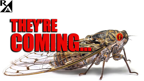 They're Back from 2004: Billions of Brood X Cicadas Will Rise, Roar and Mate Like Mad