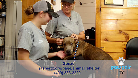 Paw Pals TV: Kat Lloyd at the City of Jasper Animal Shelter featuring Gonzo!