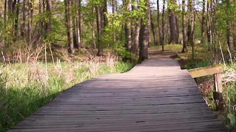 Lake Lansing Park North could be lined with crushed limestone; some longtime users don't like it