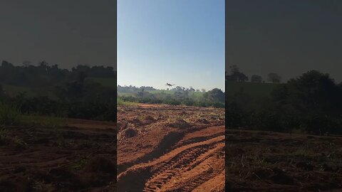 IN BRAZIL AIRPLANES ARE USED IN LEMON ORCHARDS, SEE