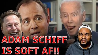 Elon Musk EXPOSES Adam Schiff And DNC Getting Triggered By Trump Retweeting Biden Memes!