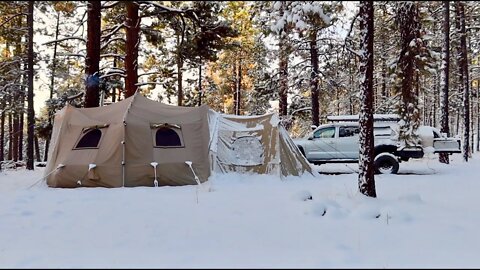 Off-Grid in the Colorado Mountains: Quiet Mornings at Camp by the Stove with My Dog