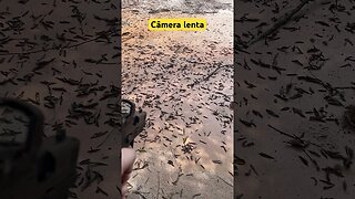 CÂMERA LENTA PRA VOCÊ! #cultura #feed #viral