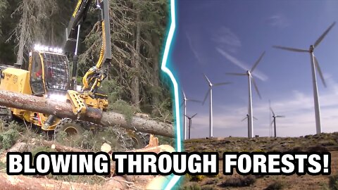 Scottish Government Cuts 14M Trees To Make Room For Windfarms