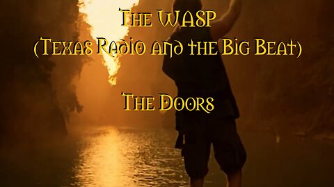 The WASP (Texas Radio and the Big Beat) The Doors