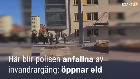 Här blir polisen anfallna av invandrargäng och öppnar eld