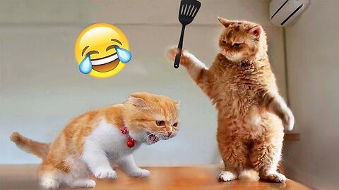 You Laugh You Lose 😂 Funniest Cats and Dogs 2023 😻🐶 Part 40