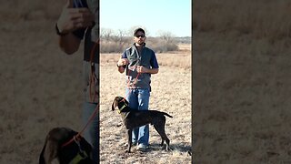 Teaching Heel With Standing Stones Easy Lead