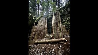 Bushcraft in the woods