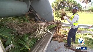 Trash removal companies booming in the wake of Hurricane Barry