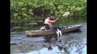 Kayak Cat