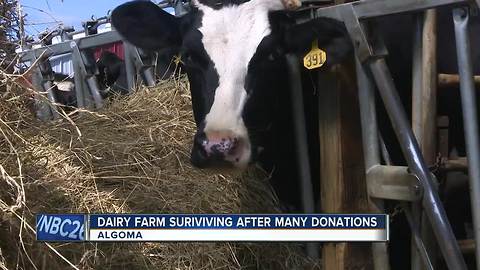 GoFundMe donations keep local dairy farm running