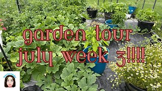 Garden Tour July Week 3! #bcl #garden #gardentour